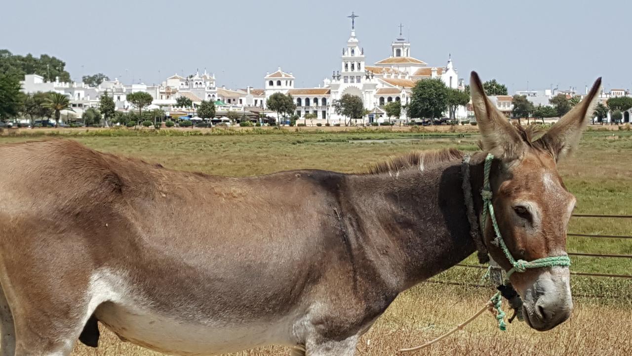 Hospederia Rural Las Buganvillas El Rocío Eksteriør billede
