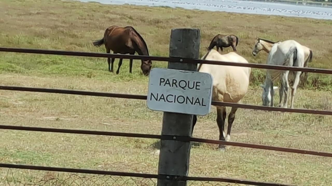 Hospederia Rural Las Buganvillas El Rocío Eksteriør billede